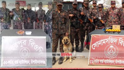 চাঁপাইনবাবগঞ্জে পৃথক অভিযানে আগ্নেয়াস্ত্র-গোলাবারুদ ও গান পাউডার উদ্ধার