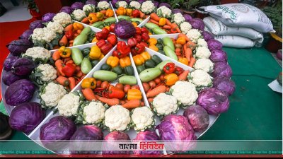 বাহারি সবজি সাজানো রয়েছে মেলা প্রাঙ্গণে