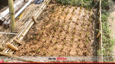 মেলায় ছোট পরিসরে চাষাবাদের পদ্ধতি শেখানো হচ্ছে