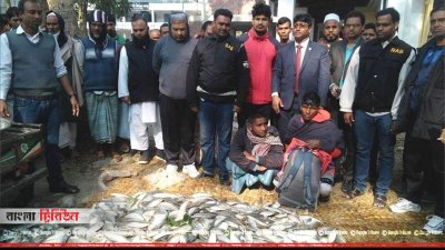 ১১০ মণ জাটকা ইলিশসহ ৩ জন আটক
