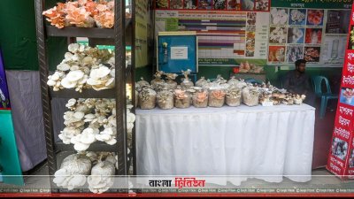 মেলায় রয়েছে নানা জাতের মাশরুমও  