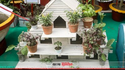 ছবিতে হরেক রঙের সবজি মেলা