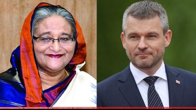 শেখ হাসিনা ও পিটার পেলেগ্রিনি
