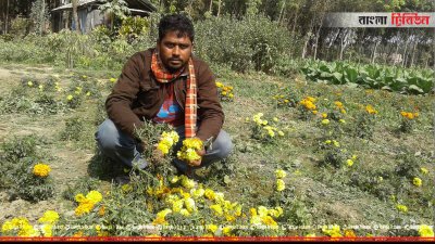 রাতের আঁধারে দুই হাজার ফুলের চারা উপড়ে দিল দুর্বত্তরা