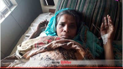 আয়শা বেগম