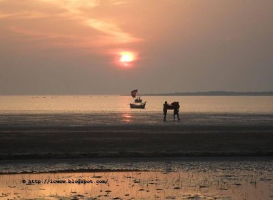 নিঝুম দ্বীপ (ছবি: সংগৃহীত)