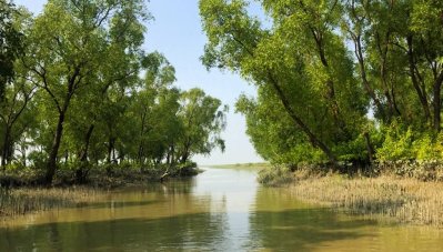 নিঝুম দ্বীপ (ছবি: সংগৃহীত)
