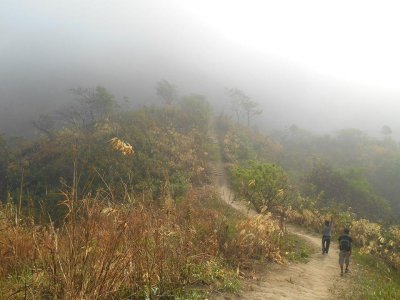 পাতালকালীর রহস্য উন্মোচন