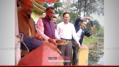 উদ্ধার হওয়া কচ্ছপ ন্যাশনাল পার্কের লেকে অবমুক্ত করা হয়