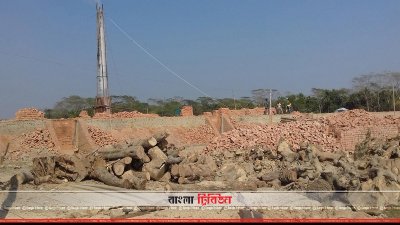 কাঠ দিয়েই ইট পোড়ানো হচ্ছে
