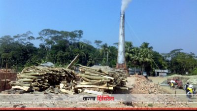 কাঠ দিয়ে পোড়ানো হচ্ছে ইট