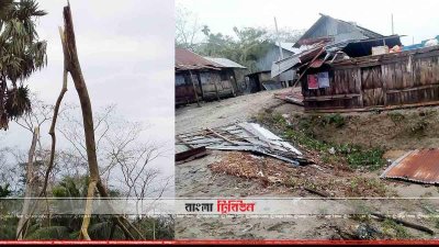 কালবৈশাখীর তাণ্ডবে বিধ্বস্ত বাড়ি-ঘর ও গাছপালা