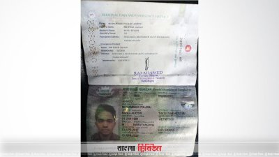 পলাশের পাসপোর্ট