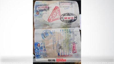 পলাশের ভিসা