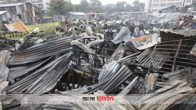 ঘরের সঙ্গে পুড়েছে স্বপ্ন