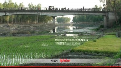 ছোট যমুনা নদী (ছবি: প্রতিনিধি)