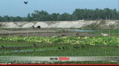 ছোট যমুনা নদী (ছবি: প্রতিনিধি)