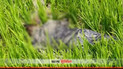 বাঘাইছড়িতে ইউপিডিএফ নেতাকে গুলি করে হত্যা