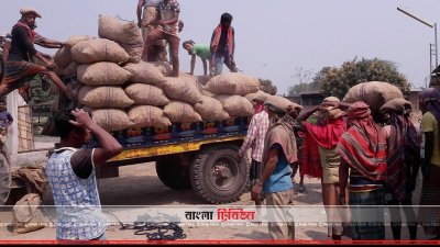 হিমাগারে নিয়ে আসা আলুর বস্তা