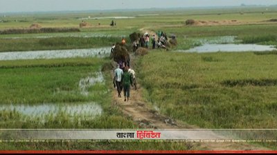 সড়ক না থাকায় ক্ষতিগ্রস্ত হচ্ছেন হাওরের কৃষকরা
