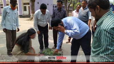 অবমুক্ত টিয়া পাখিগুলো