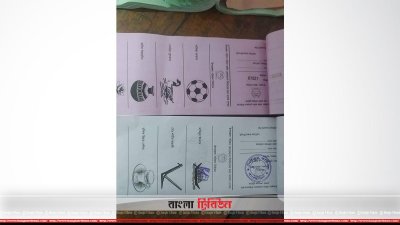 জোর করে সিল মারা ব্যালট পেপার