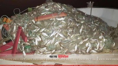 জাটকা