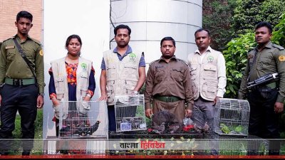 উদ্ধার করা বিভিন্ন প্রজাতির পাখি