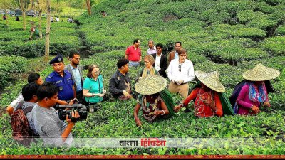 মৌলভীবাজারে বিদেশি কূটনীতিকরা