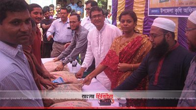 ঝিনাইদহে কৃষকদের কাছে বিনামূল্যে কৃষি উপকরণ বিতরণ