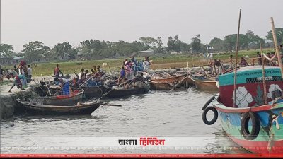 মেঘনায় টাস্কফোর্সের অভিযানে জেলেদের হামলা