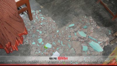 খসে পড়া পলেস্তার