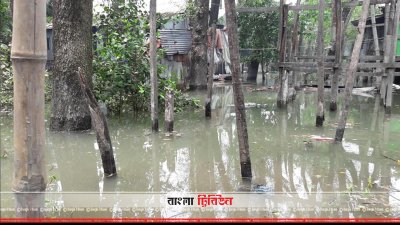 বেড়িবাঁধ ভেঙে ও উপচে পটুয়াখালীতে ২০ গ্রাম প্লাবিত