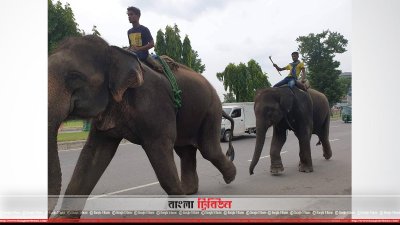 হাতি দিয়ে চাঁদাবাজি 