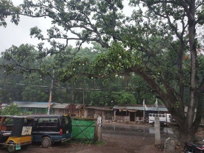 ফণীর প্রভাবে বৃষ্টিপাত