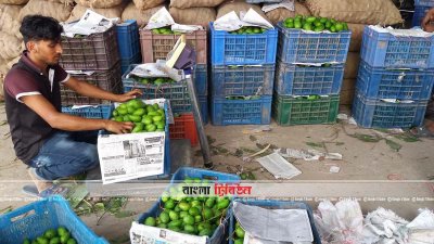 আমের কেজি ৫ টাকা!