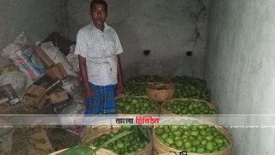 আমের কেজি ৫ টাকা!
