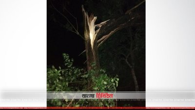 দুর্যোপূর্ণ আবহাওয়ায় দেশের বিভিন্ন জায়গায় গাছপালা ভেঙে পড়ে 