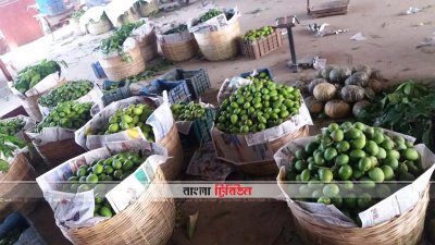 ঝড়ে ঝরে পড়া আম  