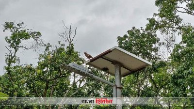 ঘরের পাশে শালিক পাখি