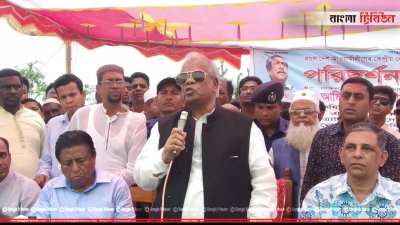 বরগুনায় আমির হোসেন আমু