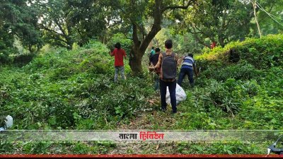 গাছ থেকে লিচু পেড়ে বস্তায় ভরে নিয়ে যাওয়া হচ্ছে (ছবি&ndash; প্রতিনিধি)