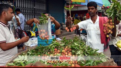 রাজশাহীর বাজারে লিচু
