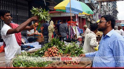 রাজশাহীর বাজারে লিচু