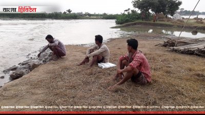 শনিবার হাওরে পানি ঢুকে পড়ায় অসহায় কৃষকরা