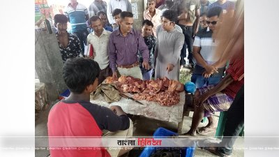ভ্রাম্যমাণ আদালতের অভিযান