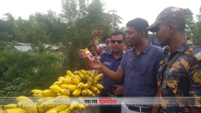 মানিকগঞ্জে কেমিক্যাল দেওয়া দুই হাজার কলা জব্দ