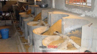  কারখানায় তৈরি হচ্ছে মুড়ি
