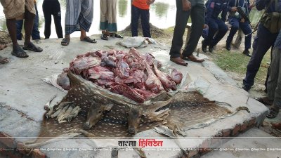 উদ্ধার হরিণের মাংস, চামড়া ও মাথা