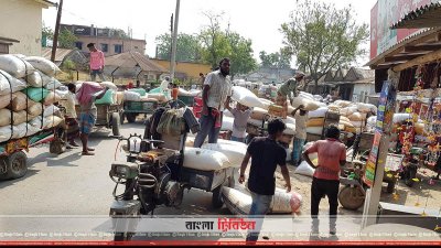 সরকার ধান ক্রয়ের আগেই কৃষকরা ধান বিক্রি করে দিচ্ছে